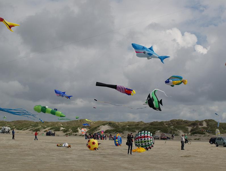 Fanø 2009 19.jpg